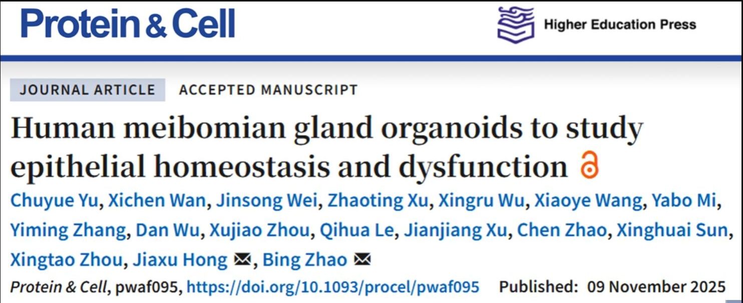 类器官研究院团队在体外类器官培养领域取得重要突破