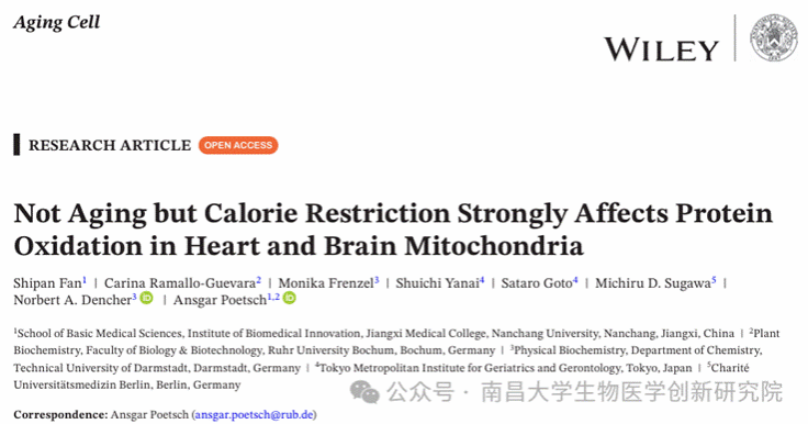 Ansgar Poetsch教授团队在《Aging Cell》发文，揭示热量限制对衰老相关蛋白修饰的组织特异性调控作用