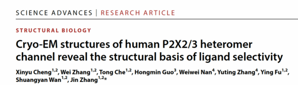 张进团队Science Advances揭示慢性咳嗽药物导致味觉障碍的分子机制