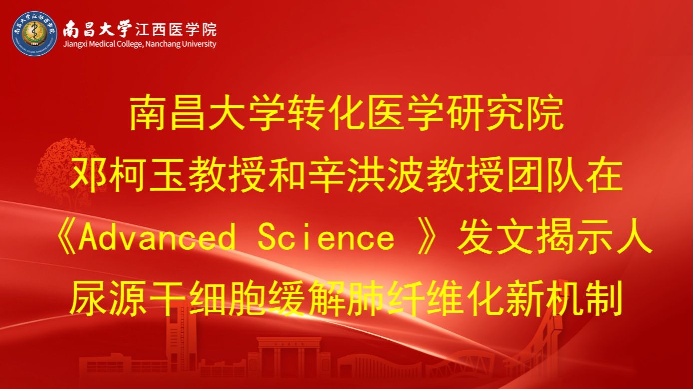 南昌大学转化医学研究院邓柯玉教授和辛洪波教授团队在《Advanced Science 》发文揭示人尿源干细胞缓解肺纤维化新机制