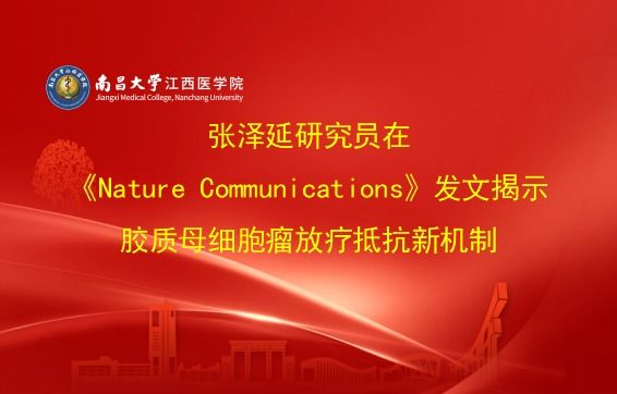 张泽延研究员在《Nature Communications》发文揭示胶质母细胞瘤放疗抵抗新机制