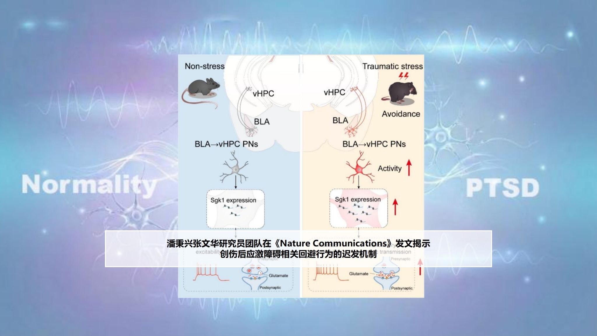 南昌大学江西医学院
