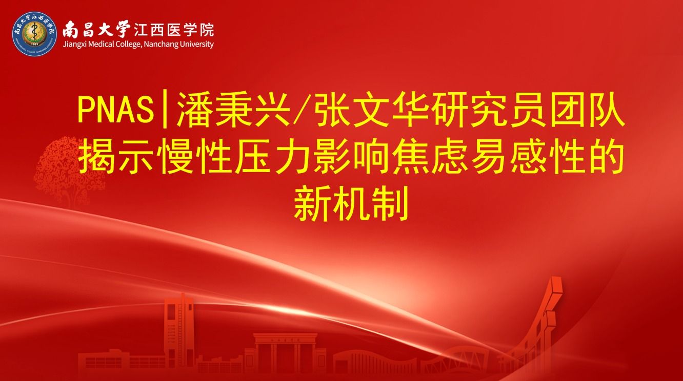 PNAS | 潘秉兴/张文华研究员团队揭示慢性压力影响焦虑易感性...