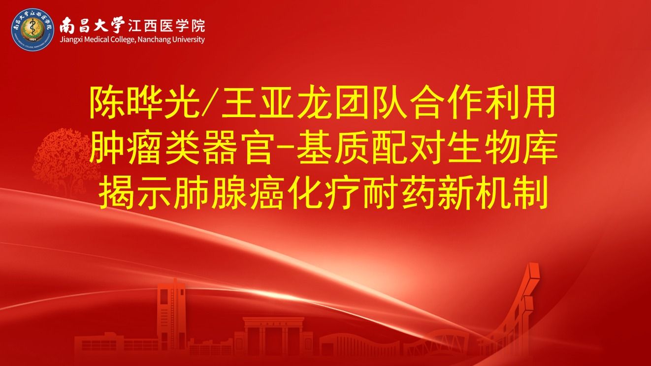 陈晔光/王亚龙团队合作利用肿瘤类器官-基质配对生物库揭示肺...